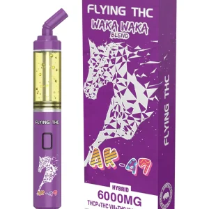flying horse dispo​