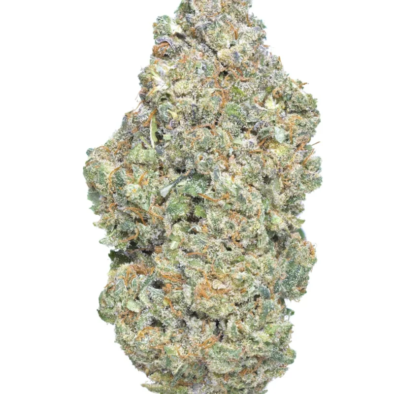 Dough Boy CBD