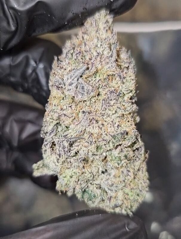Grape   Blunicorn   |   First   Cut   Exotics