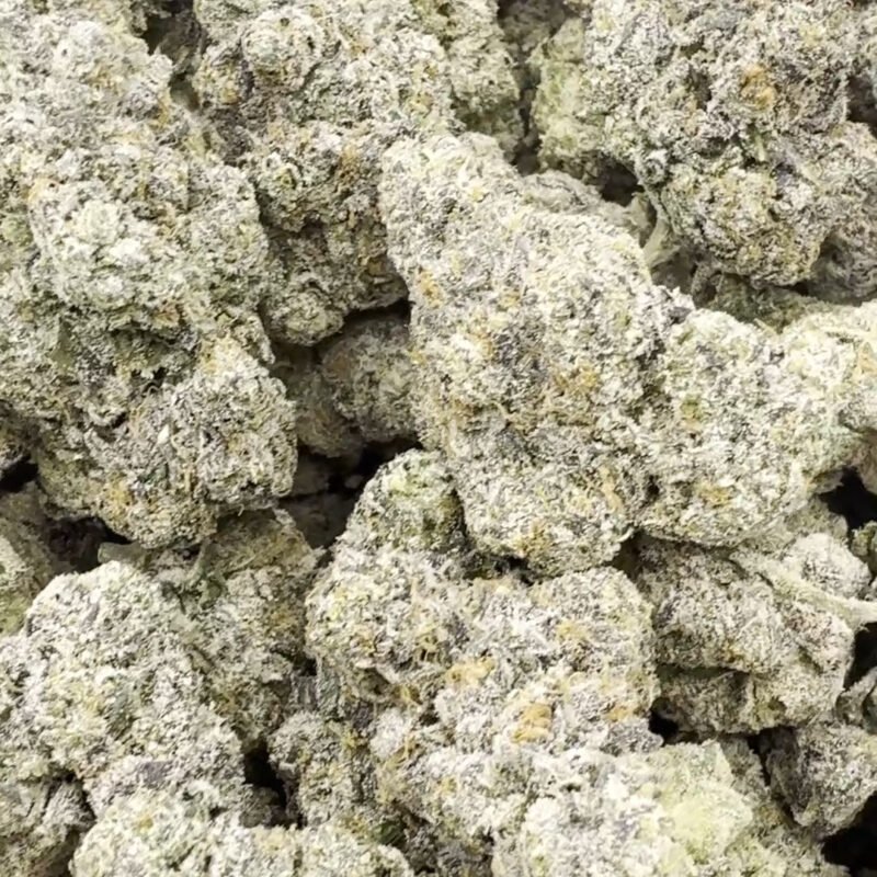 Permanent Runtz Indoor – Hybrid – Wholesale