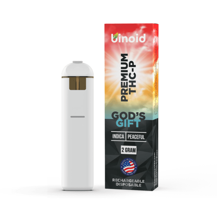 THC-P Rechargeable Disposable – 2 Grams