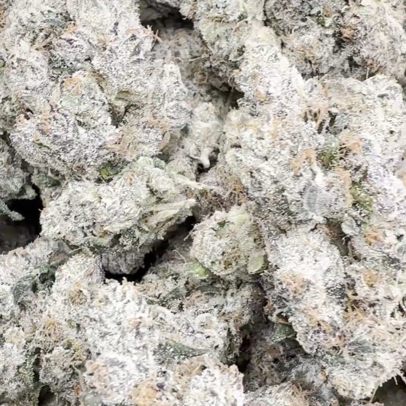 Indoor Exotic Black Magic – Indica – Wholesale
