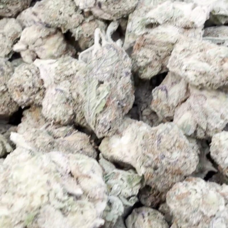 Facetz Mediums – Indica – Wholesale Mediums
