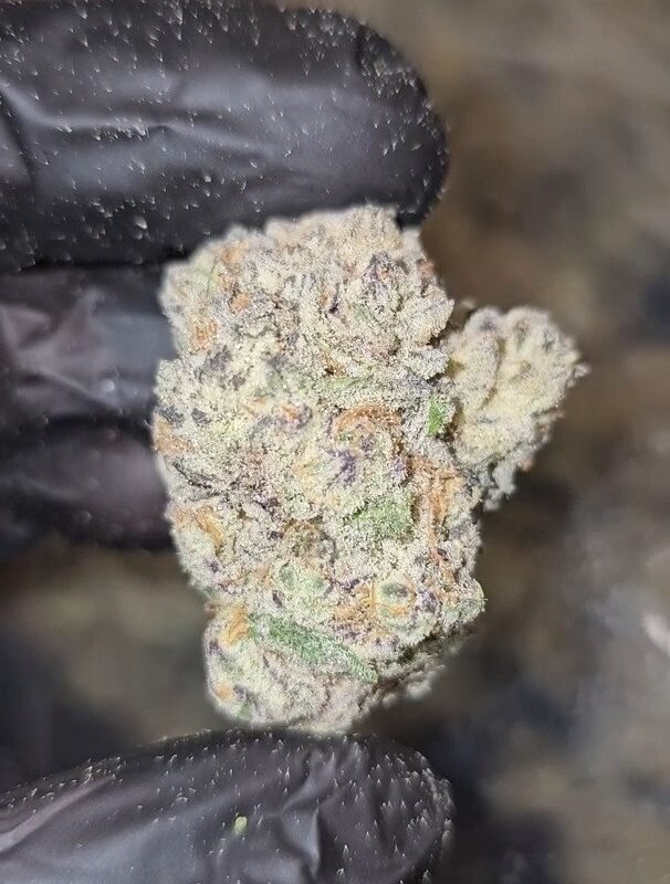 LANUGS JUNKY – (Cap Junky) – First Cut Exotics