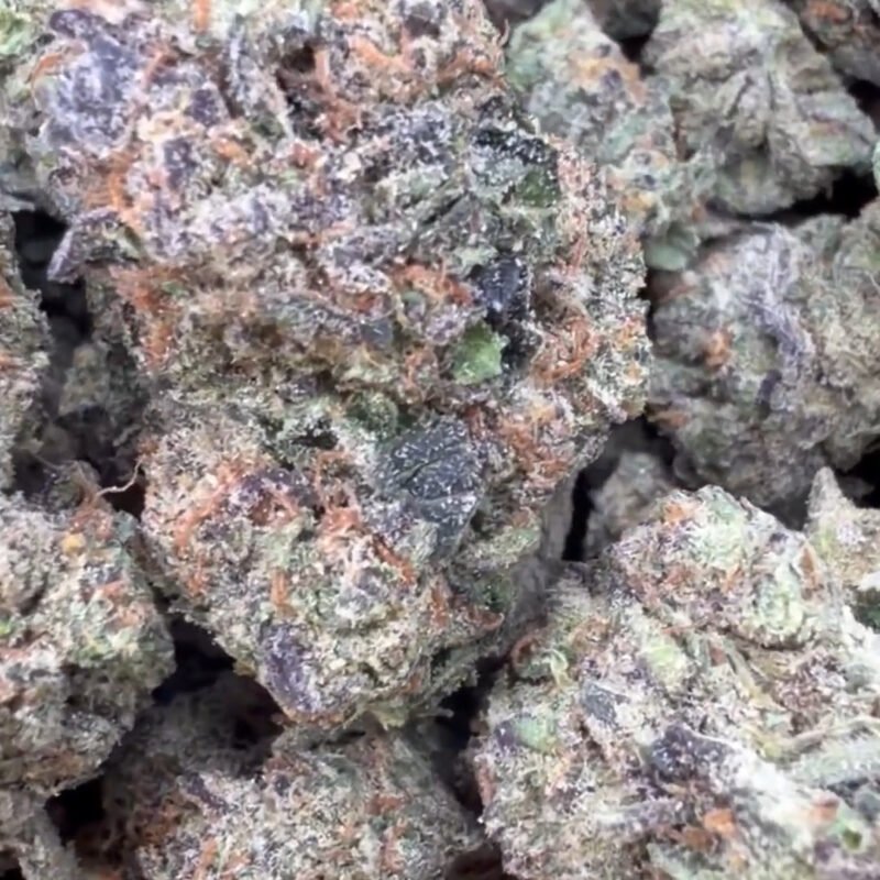 Purple Cookies – Bulk – Hybrid