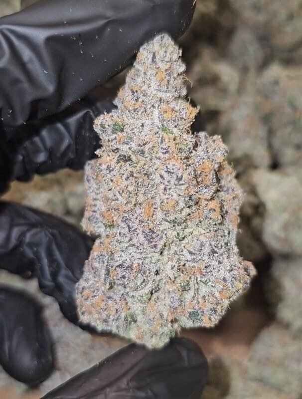 Super   Boof   |   First   Cut   Exclusive