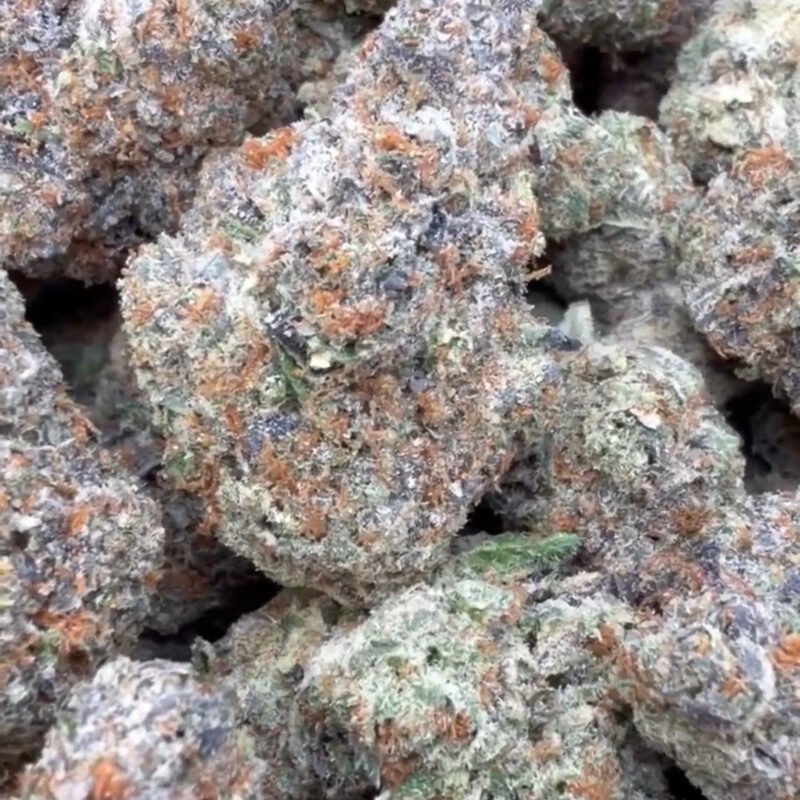 Gelonade Indoor  – Sativa – Wholesale