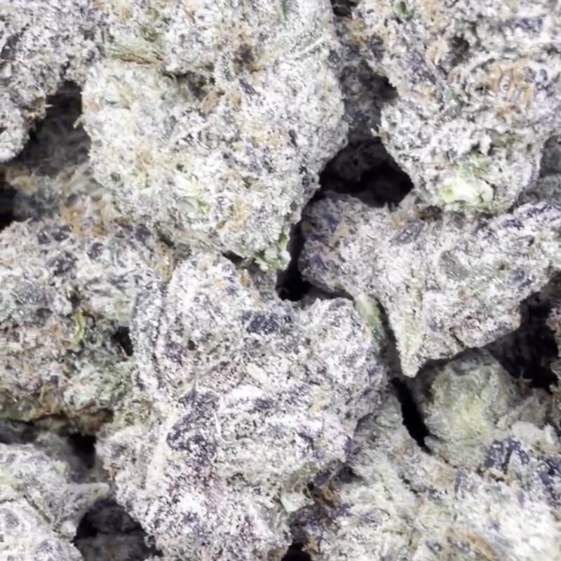 Indoor Exotic White Zkittlez  – Hybrid – Wholesale