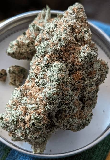 juicy fruit strain